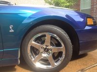 Mustang SVT Cobra Mustang SVT Cobra
