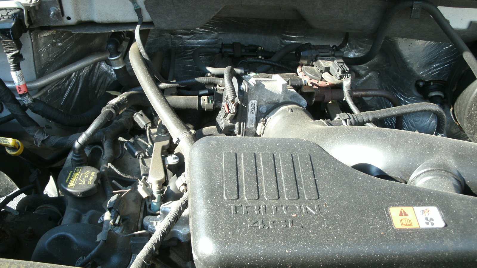 2009 Ford F-150