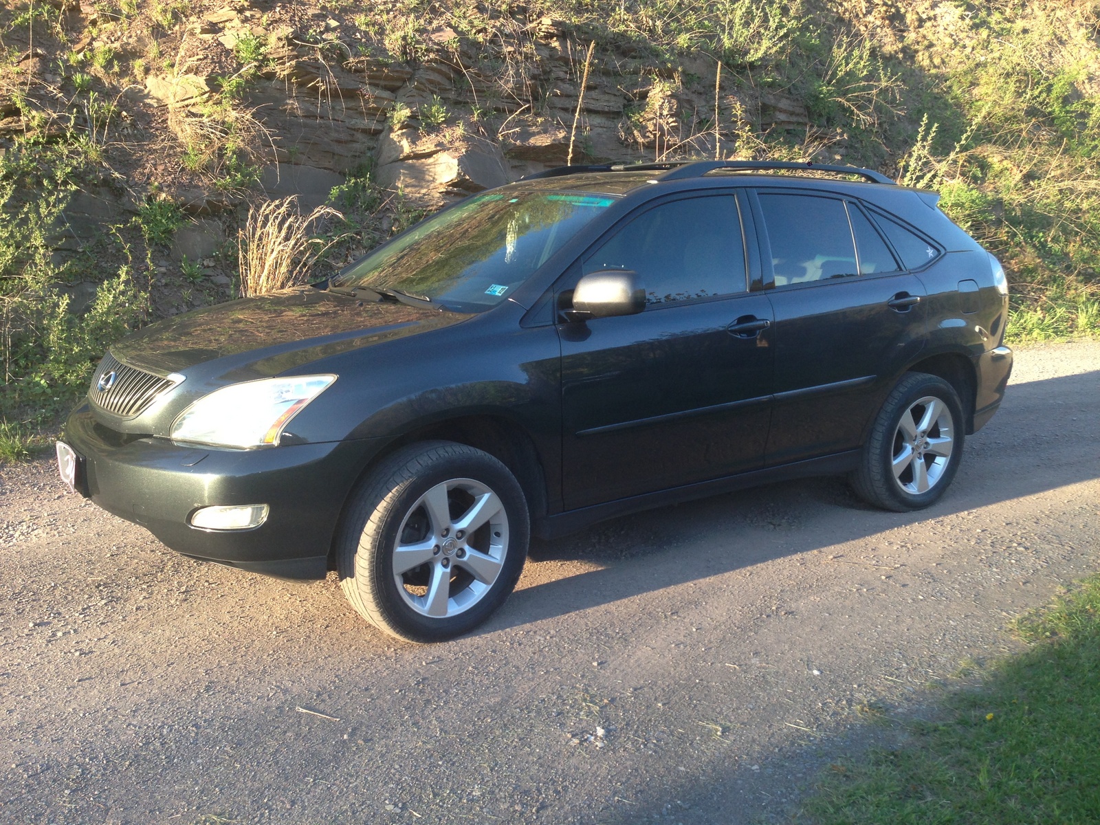 2004 Lexus RX 330 - Pictures - CarGurus