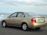 Cerato Cerato