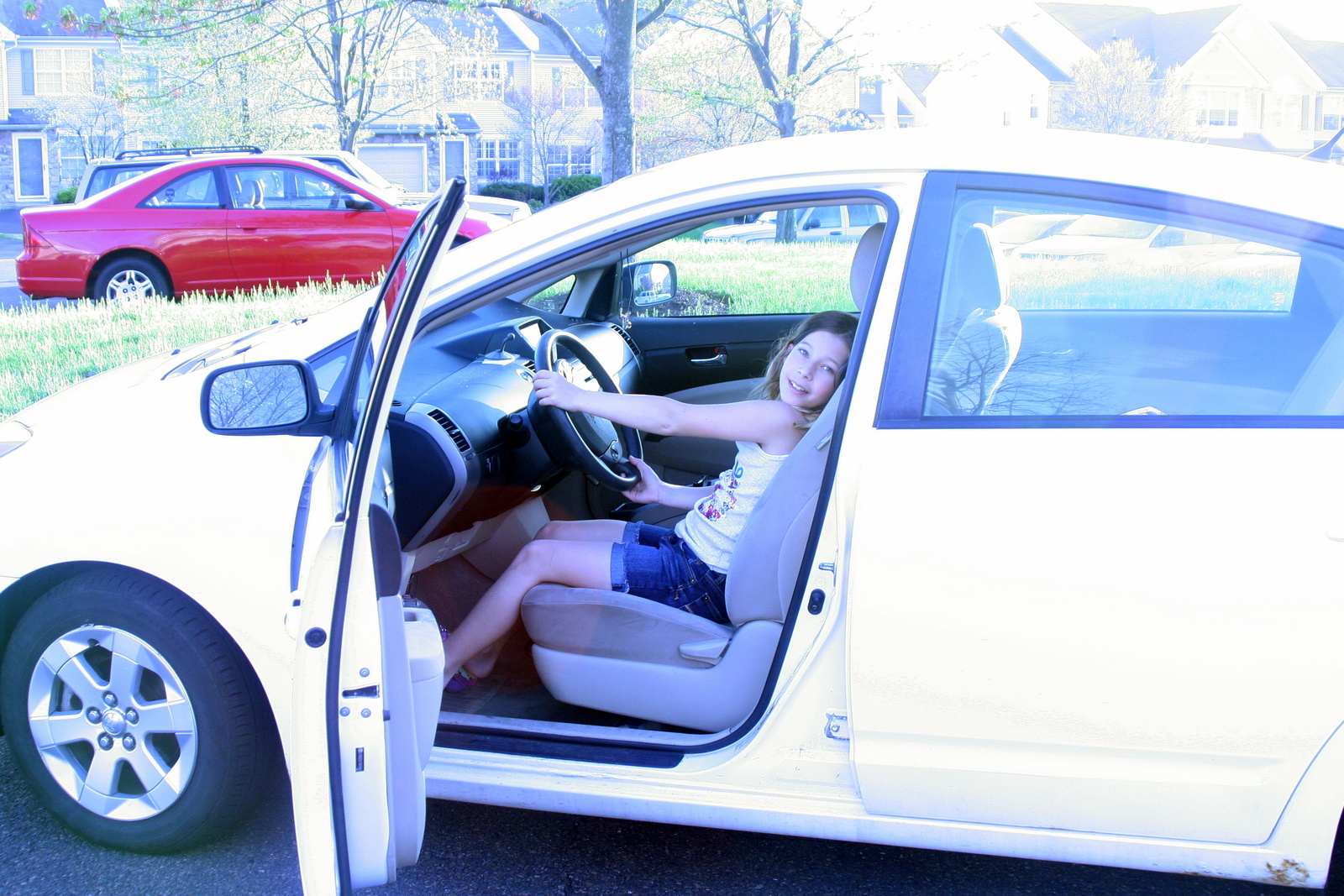 2004 Toyota Prius