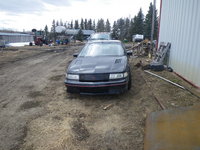 Lumina Lumina