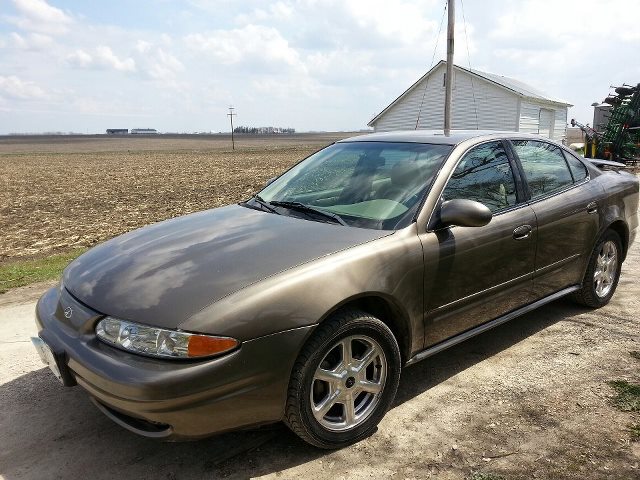 Alero Alero