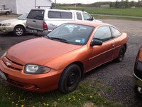 Cavalier Cavalier