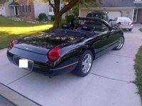 Thunderbird Thunderbird