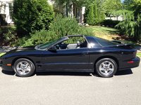 Firebird Firebird