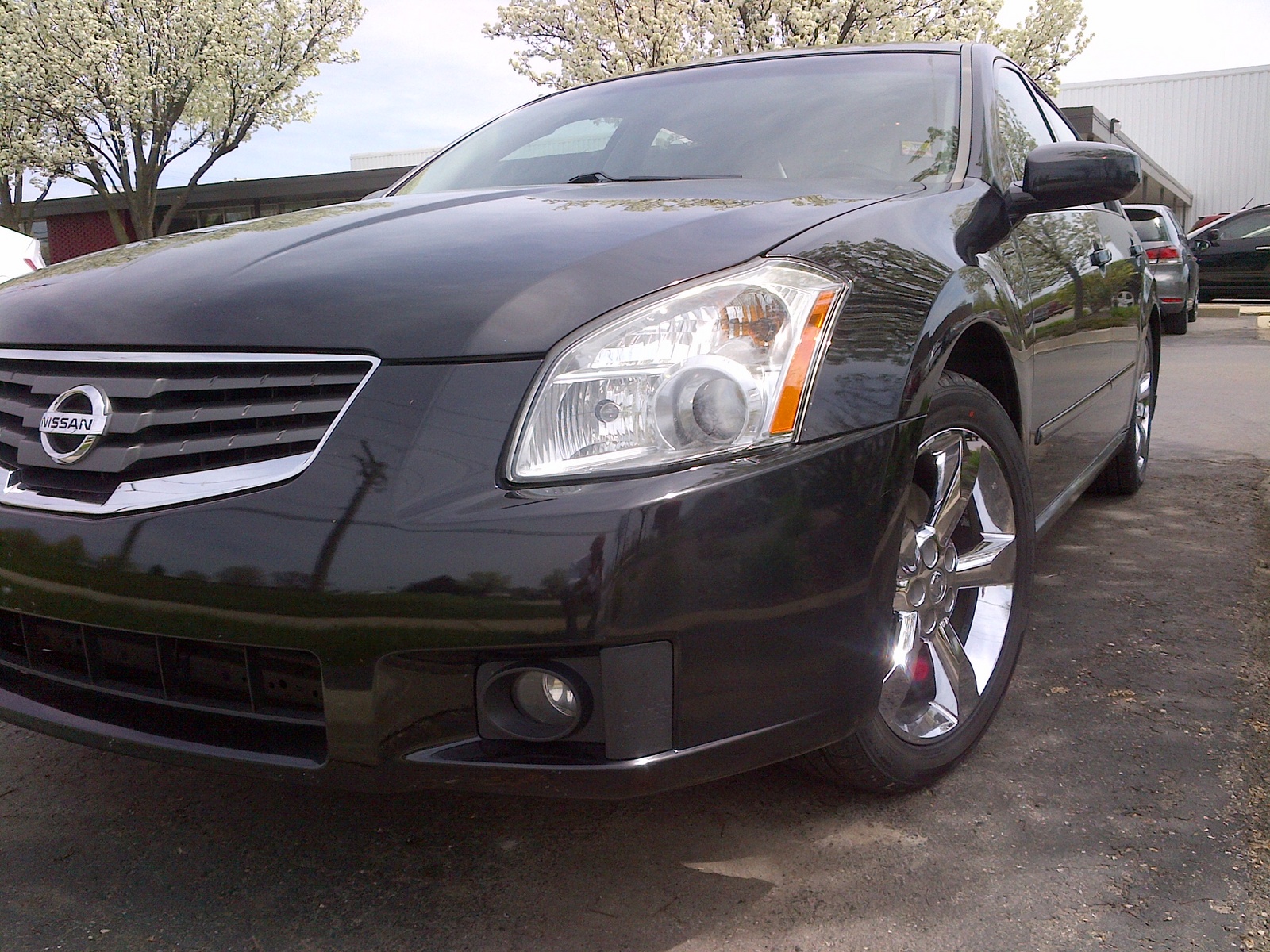 2008 Nissan maxima customer reviews #6