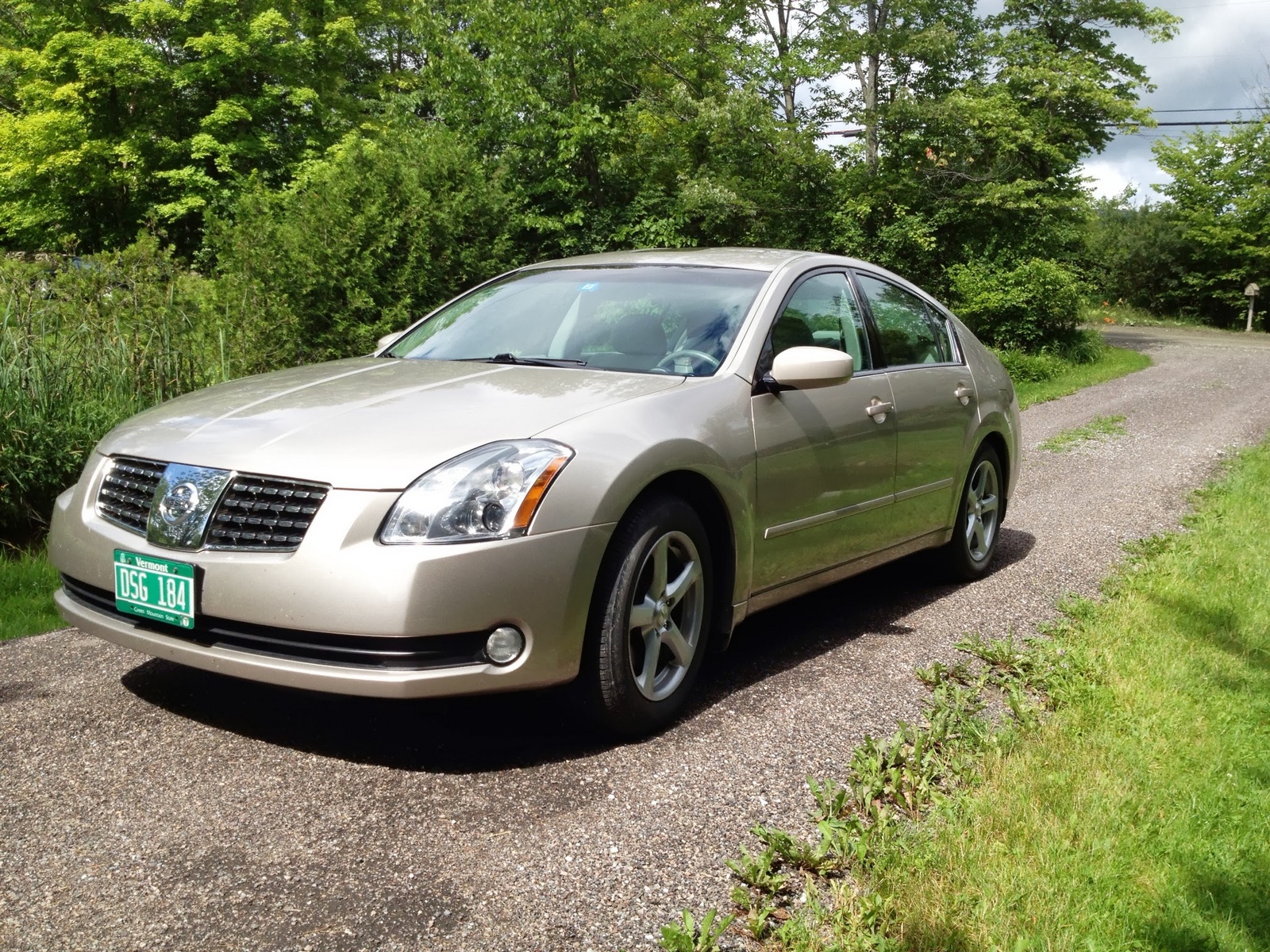 2005 Nissan Maxima - Pictures - CarGurus