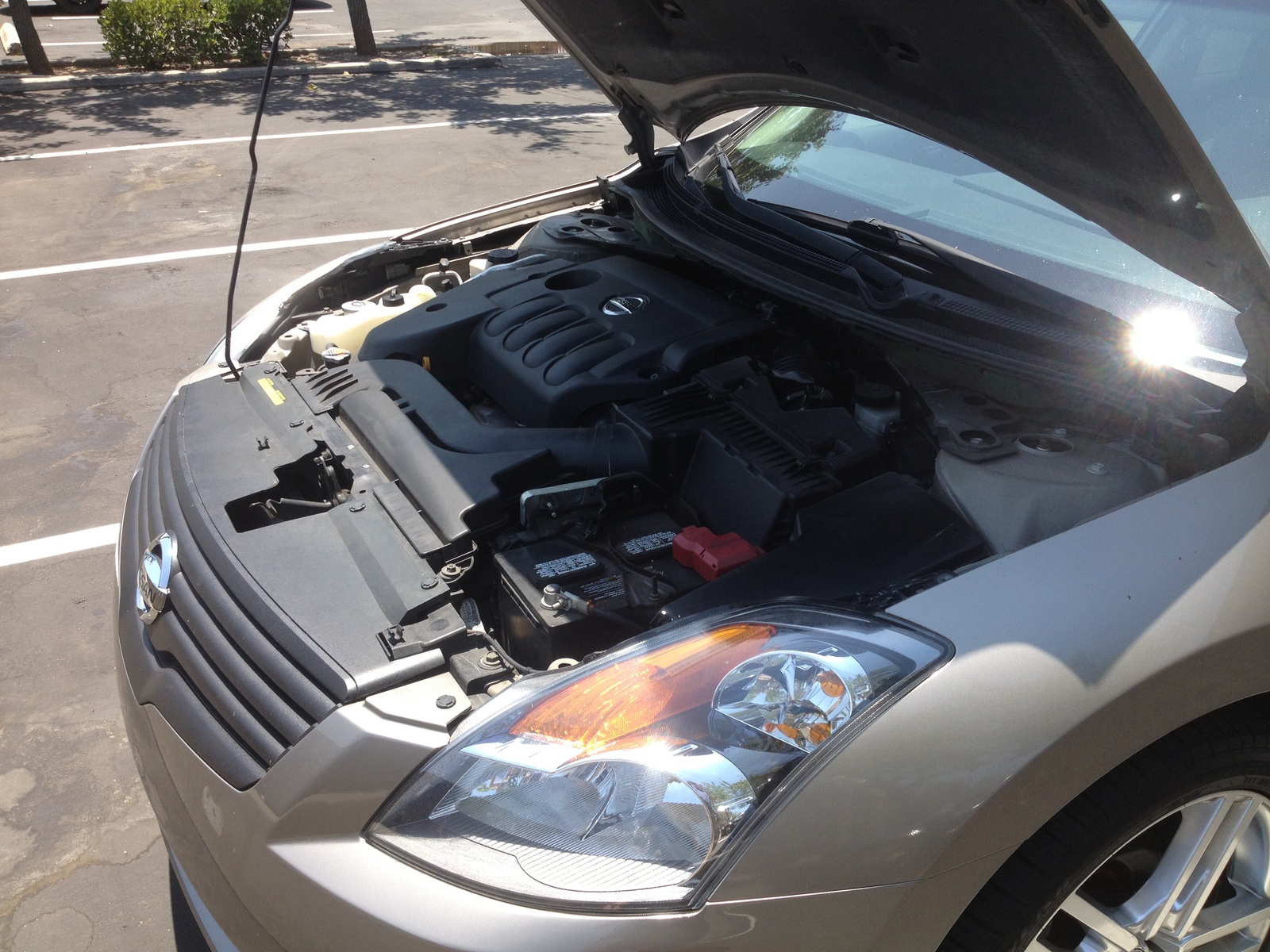 2008 Nissan Altima