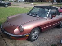 1983 Alfa Romeo Spider Overview 1983 Alfa Romeo Spider Overview