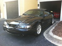 Mustang SVT Cobra Mustang SVT Cobra