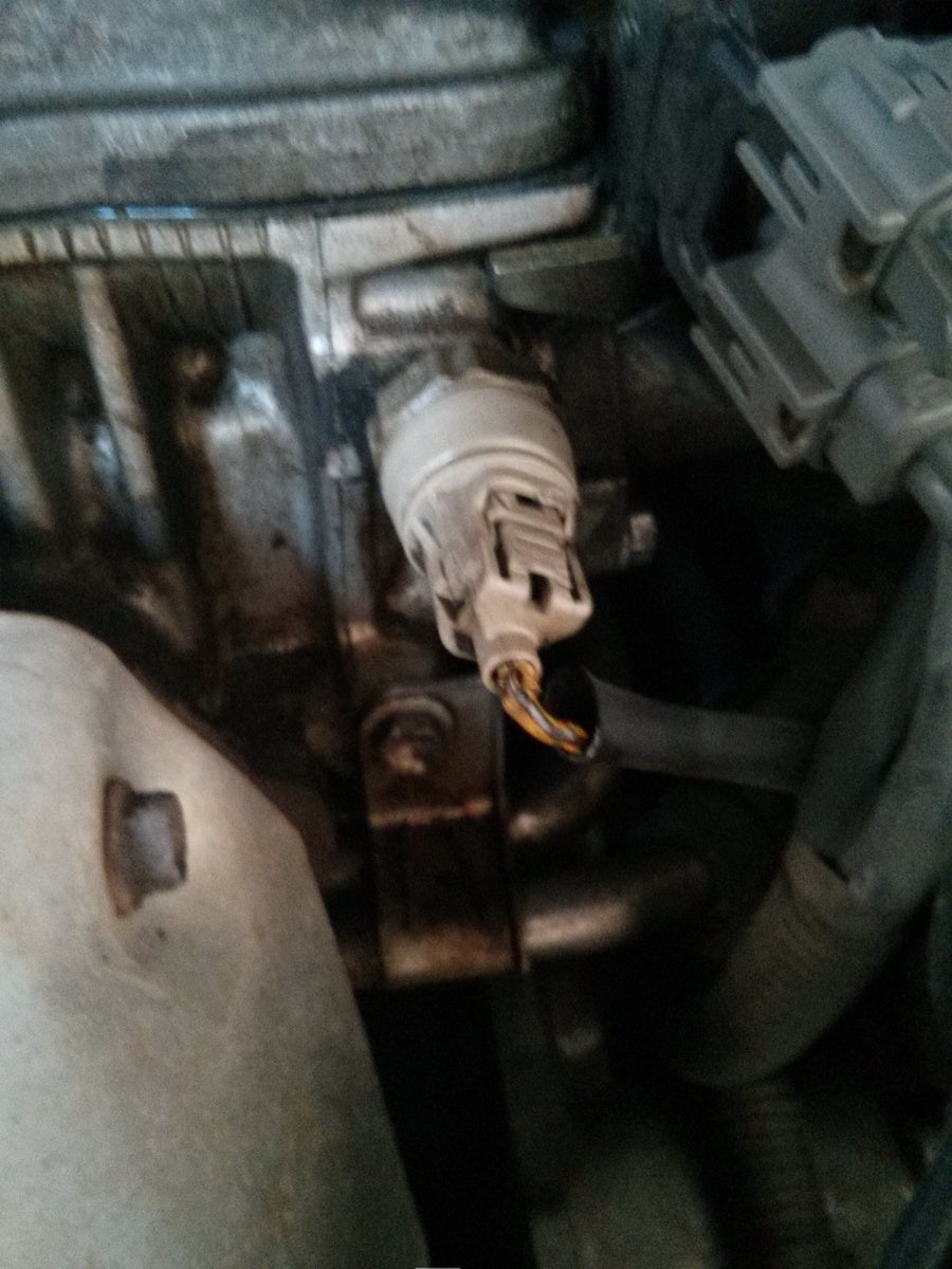 1998 toyota camry engine oil leak #1