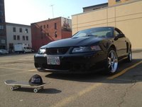Mustang SVT Cobra Mustang SVT Cobra
