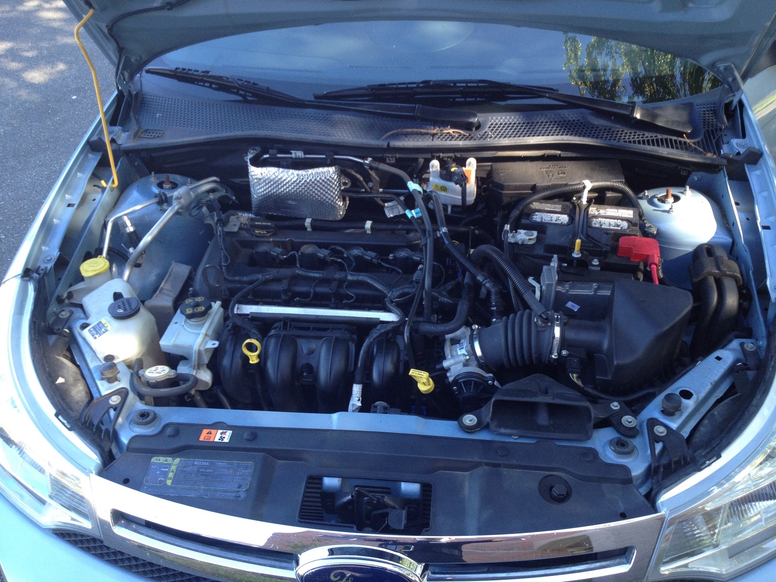 2008 Ford Focus