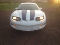 Firebird Firebird