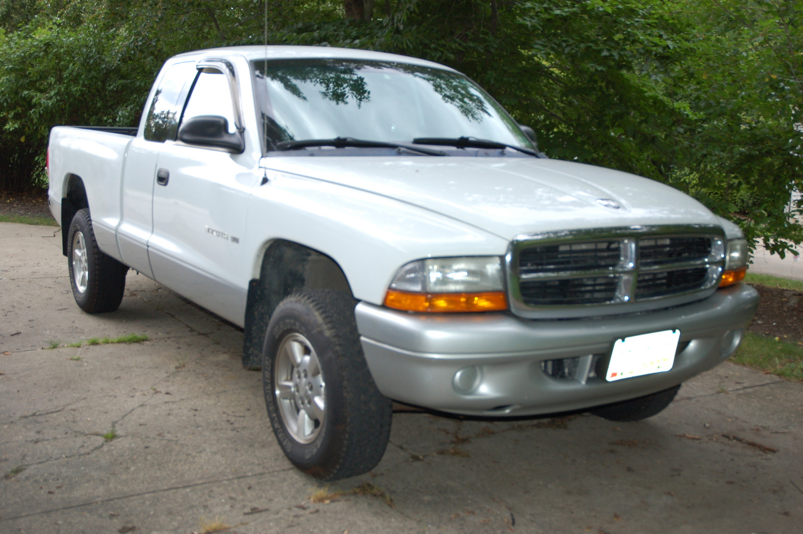 2002 Dodge Dakota Pictures Cargurus