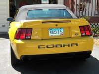 Mustang SVT Cobra Mustang SVT Cobra