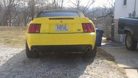 Mustang SVT Cobra Mustang SVT Cobra