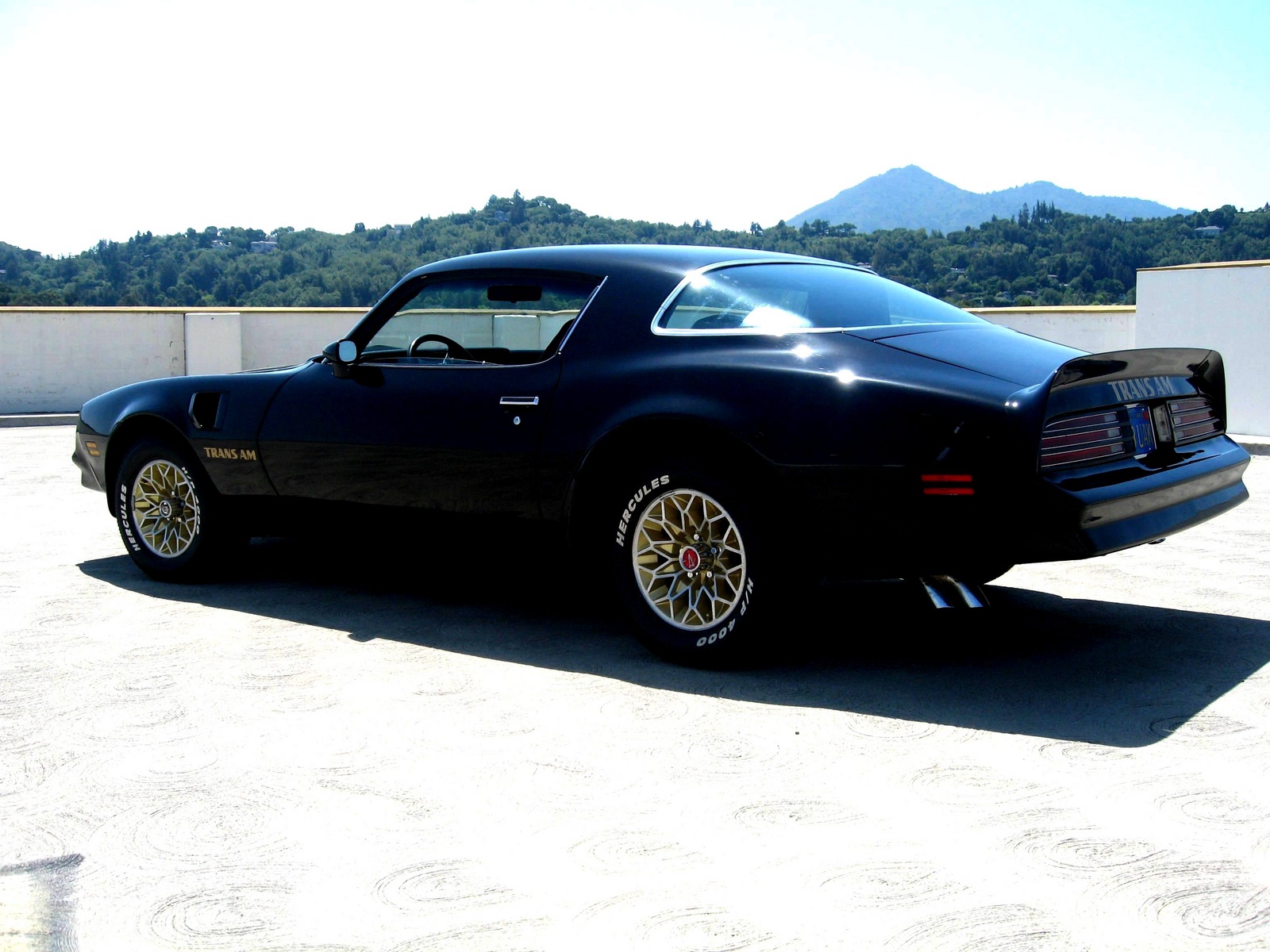 1978 pontiac trans am images 1978 pontiac trans am images