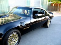 1978 Pontiac Trans Am Overview 1978 Pontiac Trans Am Overview