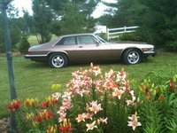 1984 Jaguar XJ-S Overview 1984 Jaguar XJ-S Overview