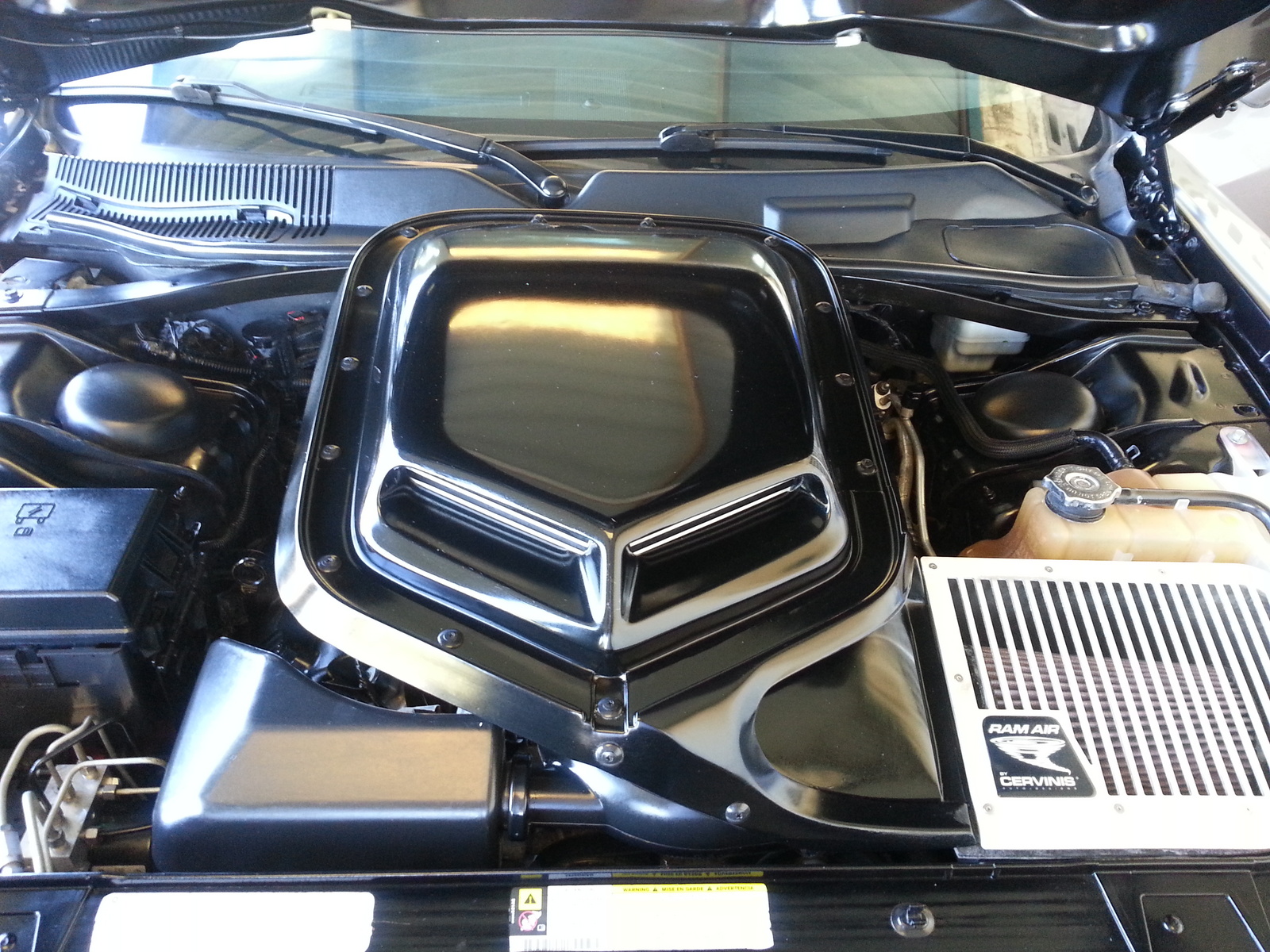 2009 Dodge Challenger