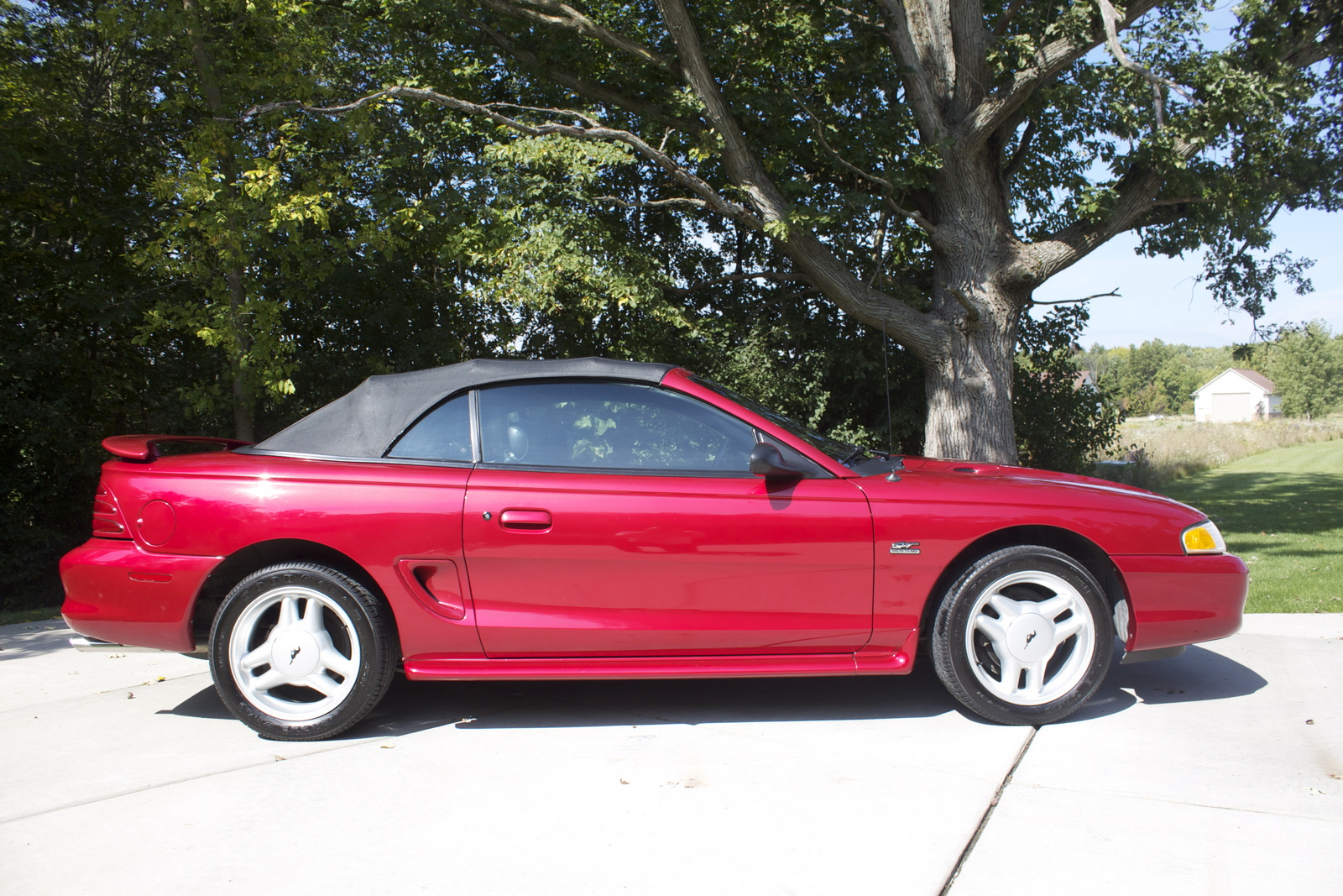 1995 Ford Mustang Pictures Cargurus