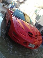 Firebird Firebird