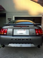 Mustang SVT Cobra Mustang SVT Cobra
