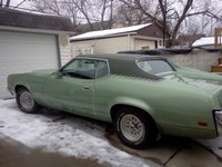 Cougar Cougar