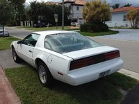 Firebird Firebird