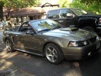 Mustang SVT Cobra Mustang SVT Cobra