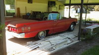 Thunderbird Thunderbird