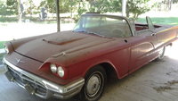 Thunderbird Thunderbird