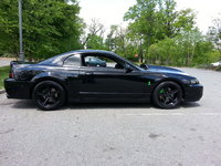 Mustang SVT Cobra Mustang SVT Cobra
