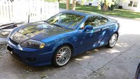 Tiburon Tiburon