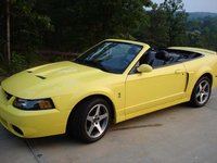 Mustang SVT Cobra Mustang SVT Cobra