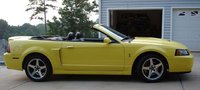 Mustang SVT Cobra Mustang SVT Cobra