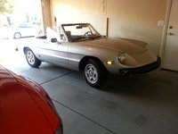 1978 Alfa Romeo Spider Overview 1978 Alfa Romeo Spider Overview