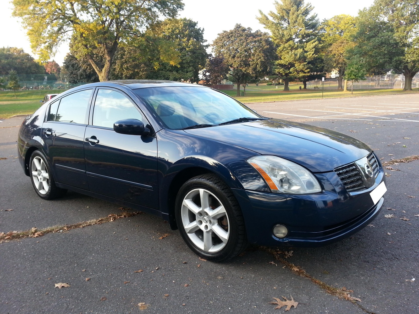 2004 Nissan Maxima - Pictures - CarGurus