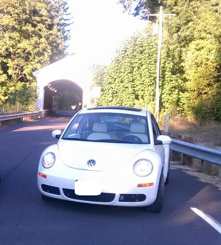 2008 Volkswagen Beetle