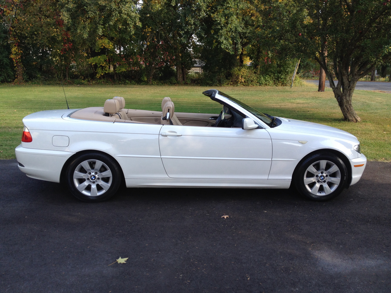2005 Bmw 3 Series Pictures Cargurus
