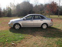 Forenza Forenza