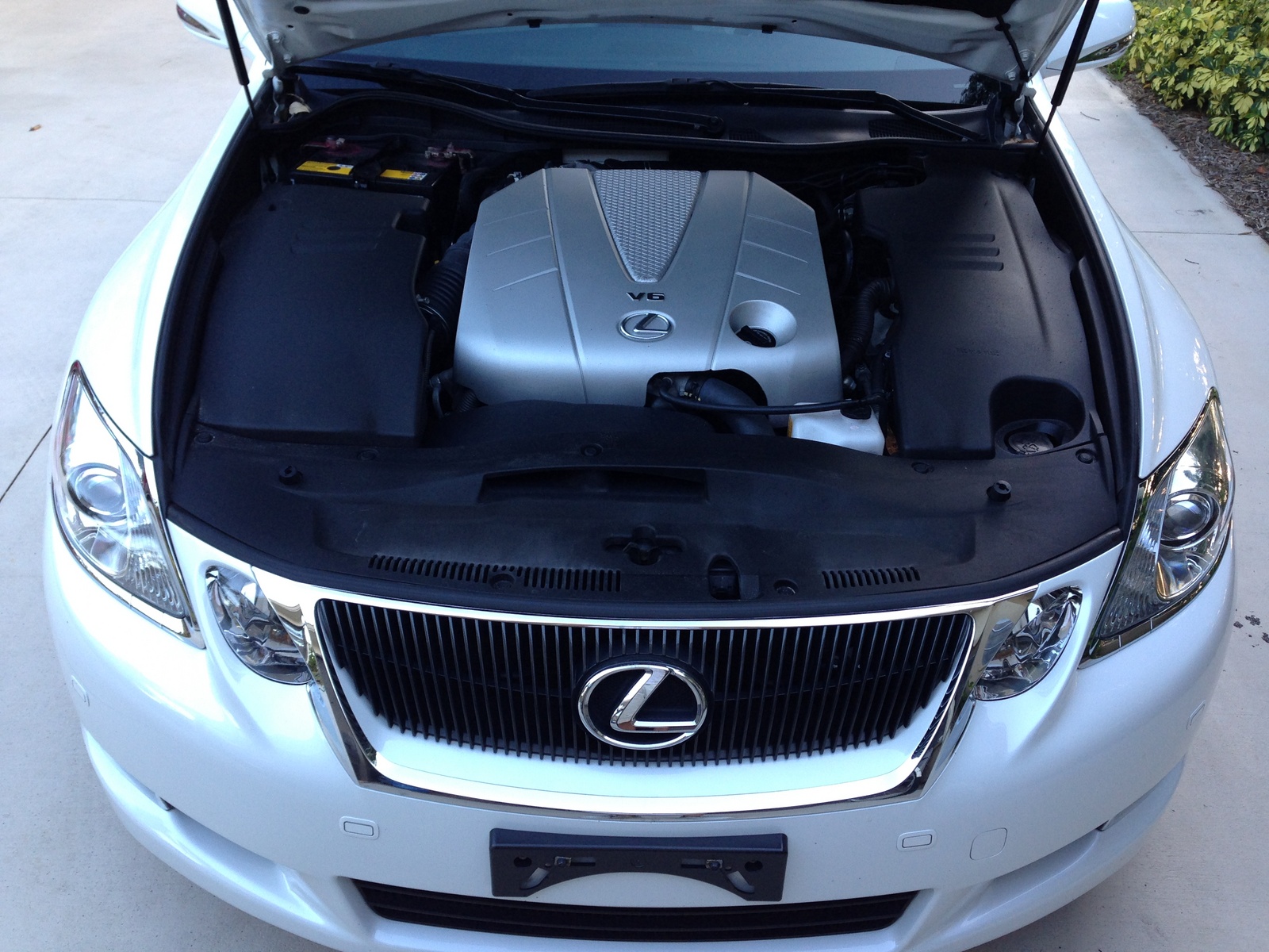 2008 Lexus Gs 350 Pictures Cargurus