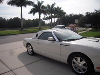 Thunderbird Thunderbird