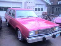 1981 Ford Fairmont Overview 1981 Ford Fairmont Overview