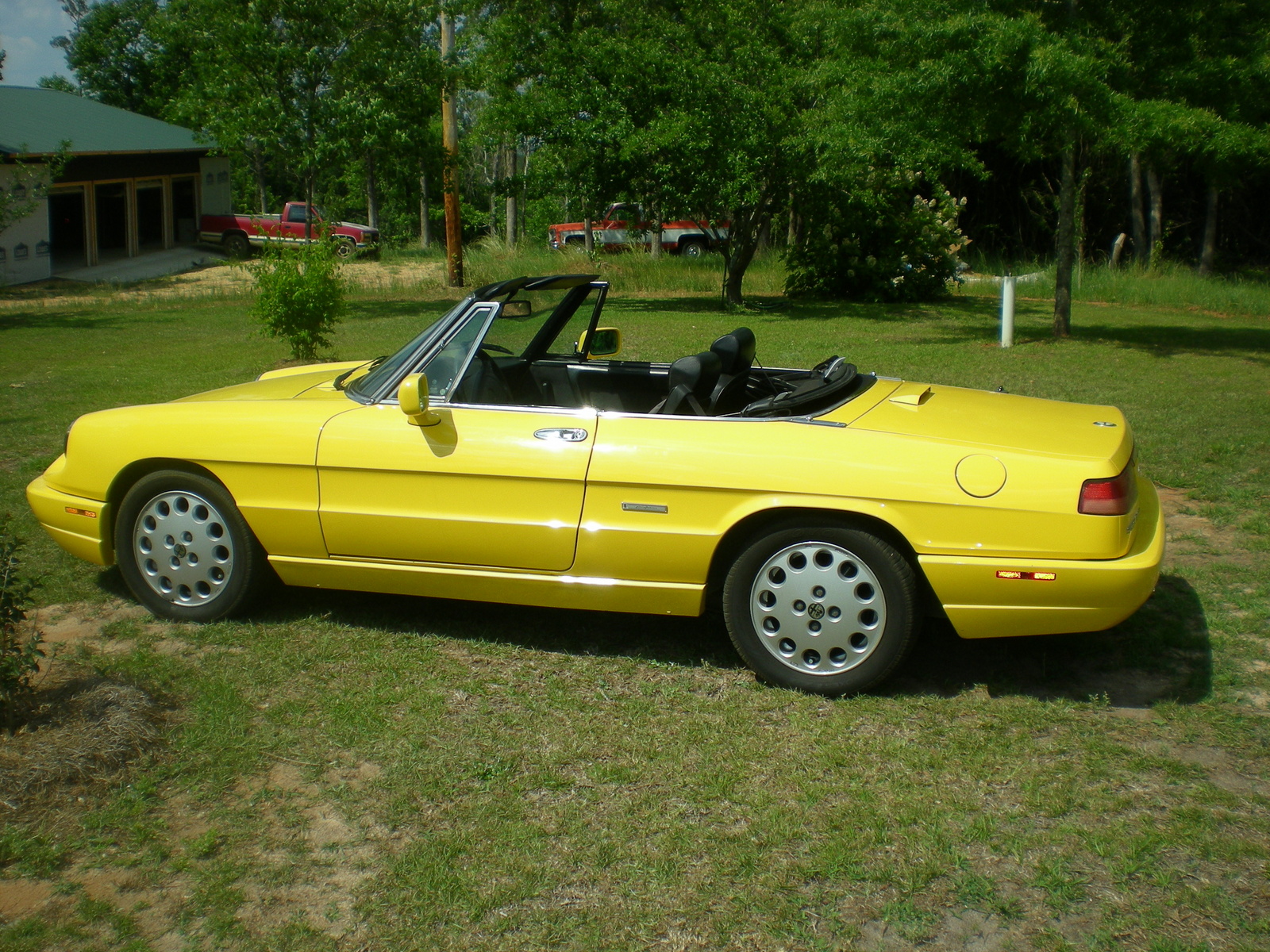 1993 Alfa Romeo Rz Related Infomation Specifications