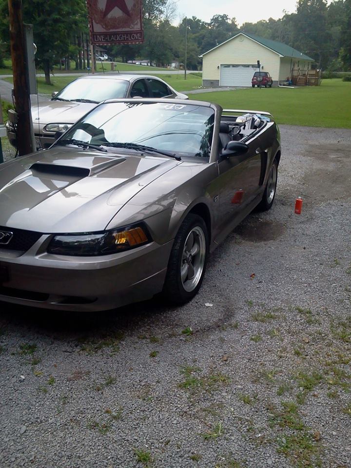 2001 Ford Mustang
