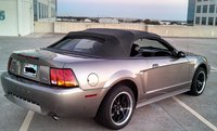 Mustang SVT Cobra Mustang SVT Cobra