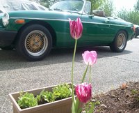 1977 MG MGB Roadster Overview 1977 MG MGB Roadster Overview